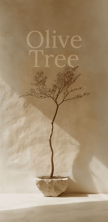 A dried branch against sunlit cream plaster